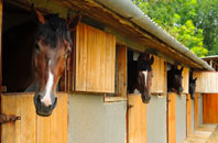free Flappit Spring stable construction quotes